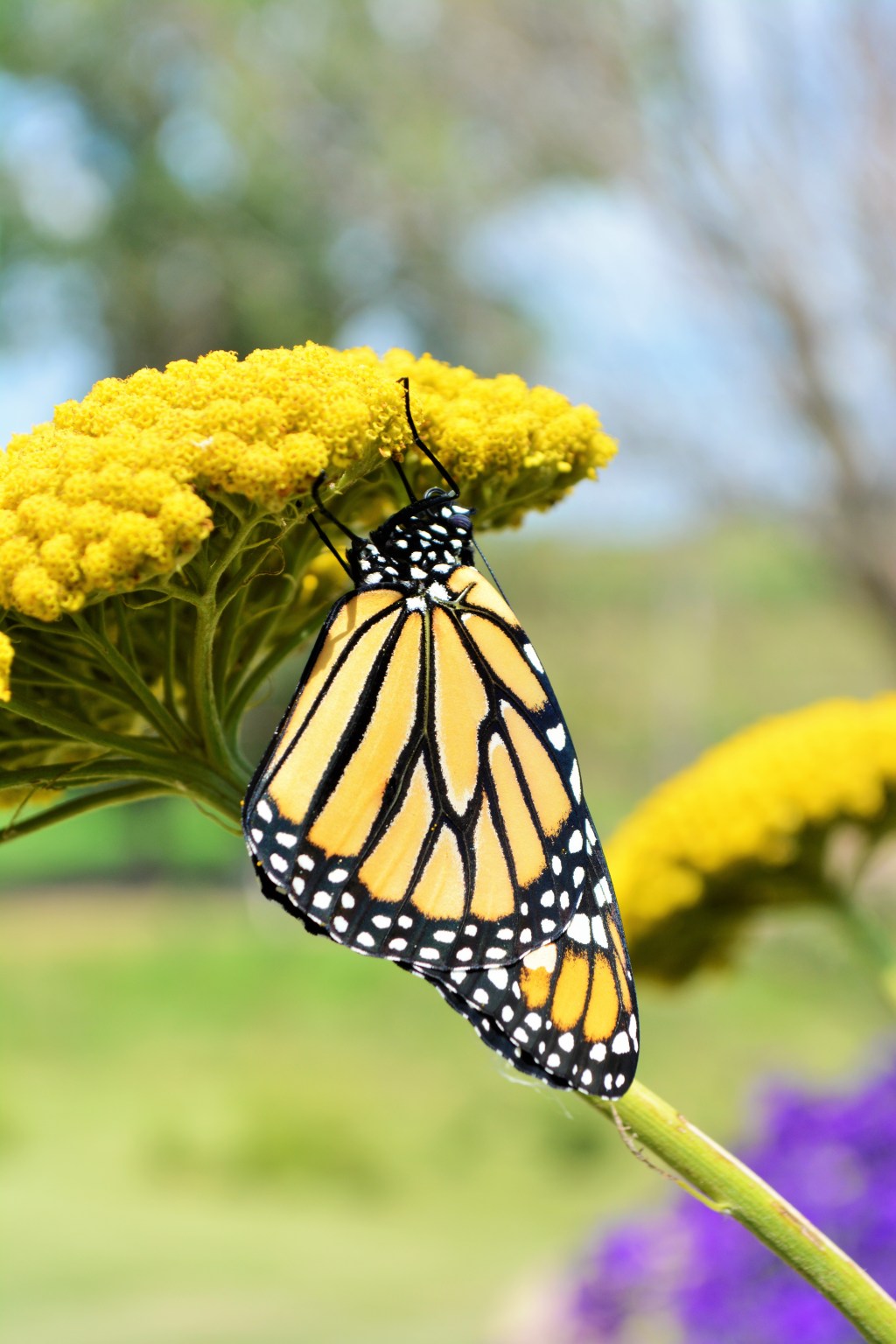 When Volunteerism is Sprayed in the Face: Two Years&nbsp;Later