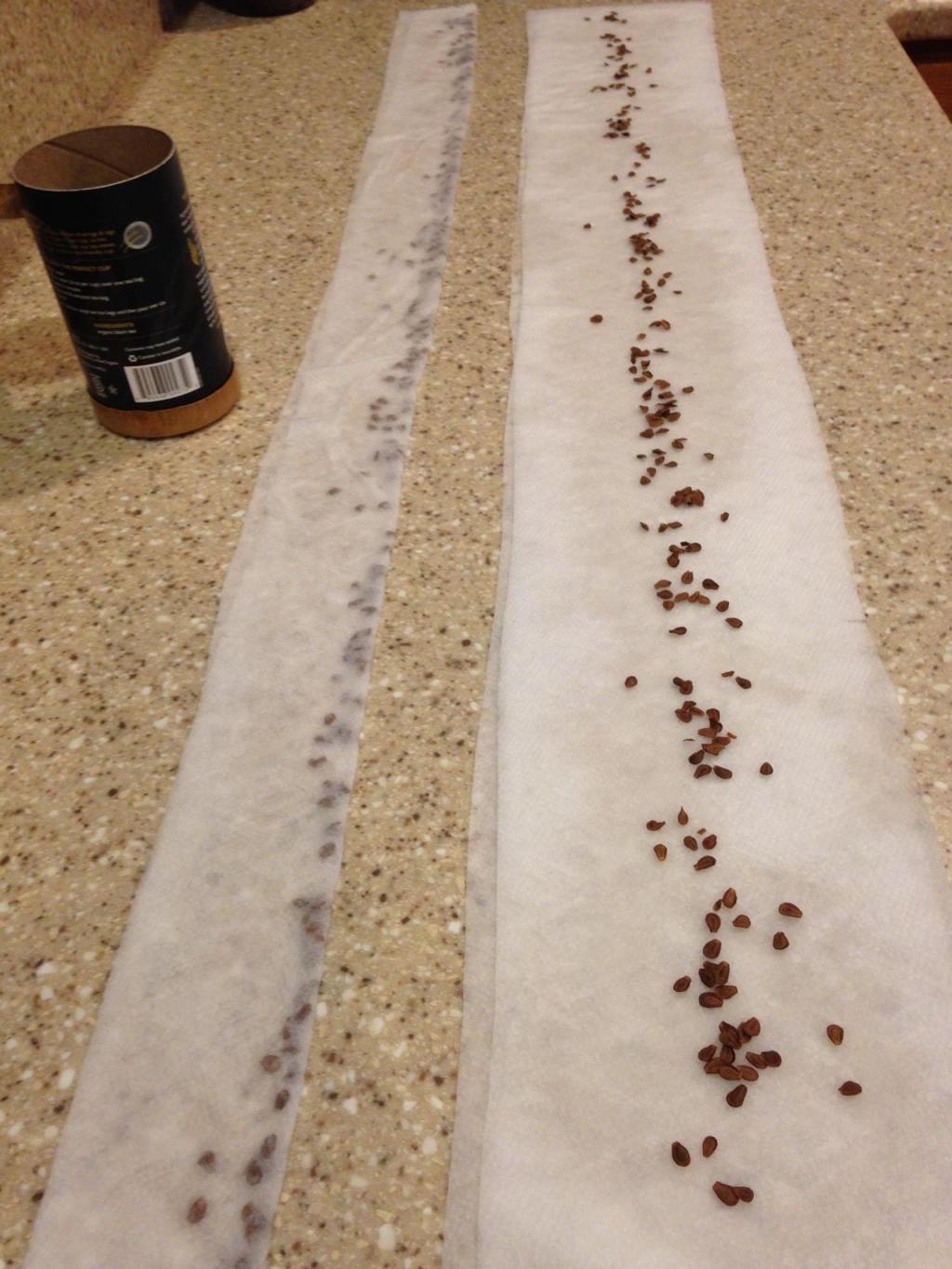 What is a MGV? Why do we&nbsp;matter?