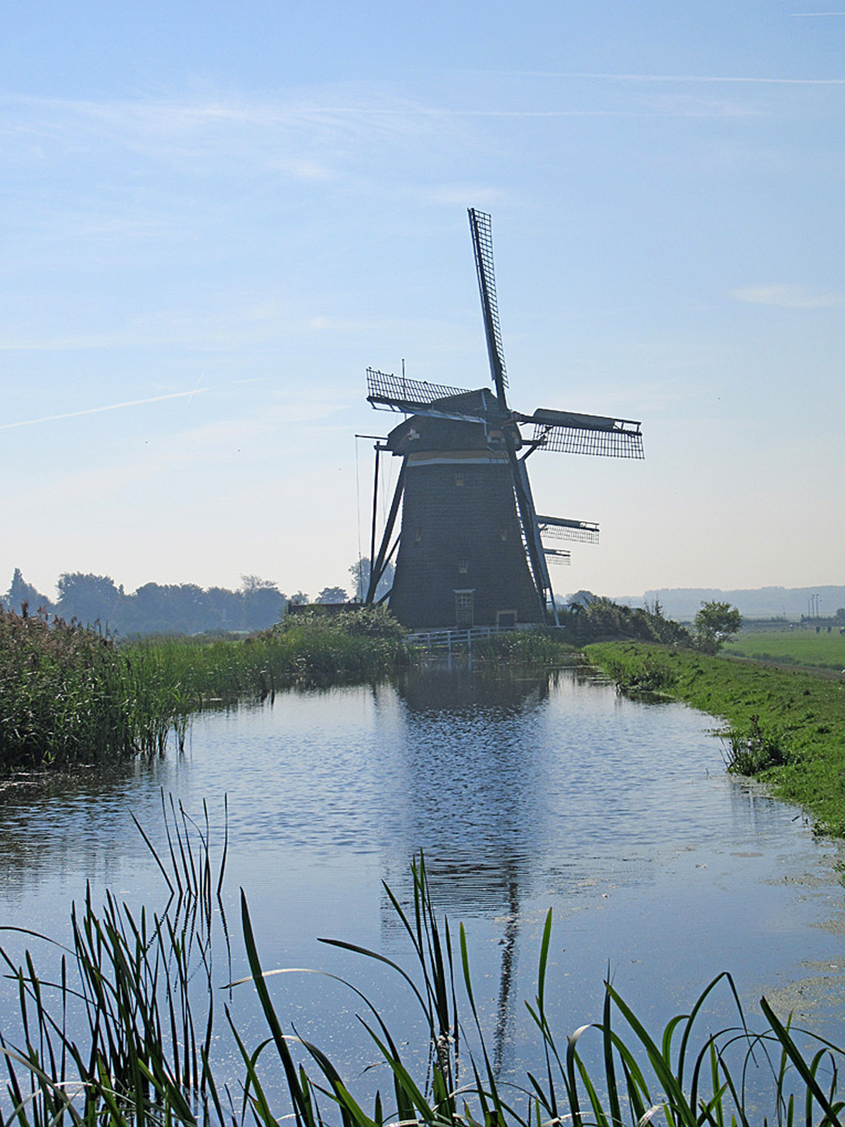 reflectionsandreality