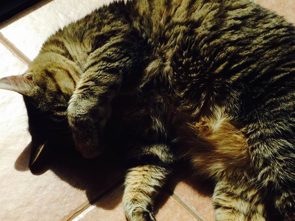 What I’ve learned about Procrastination