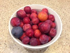 The Grocery Store&nbsp;Chaos