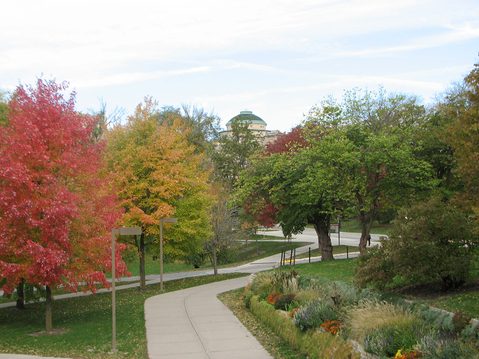 fallcolorisu102613