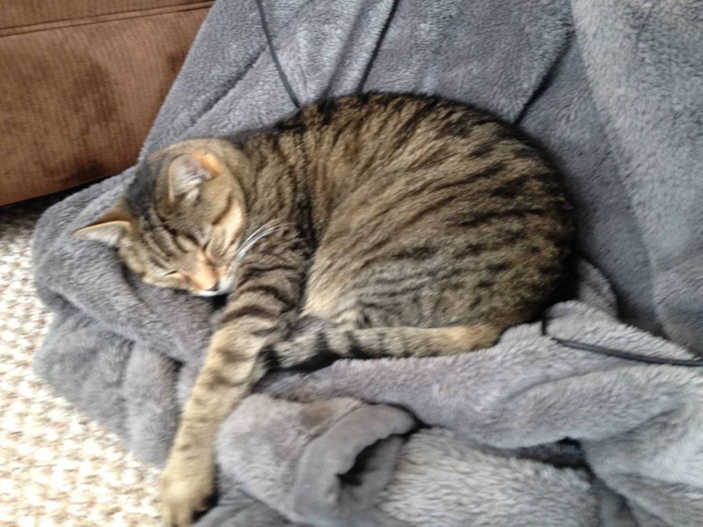 Looking for You, My&nbsp;Brother