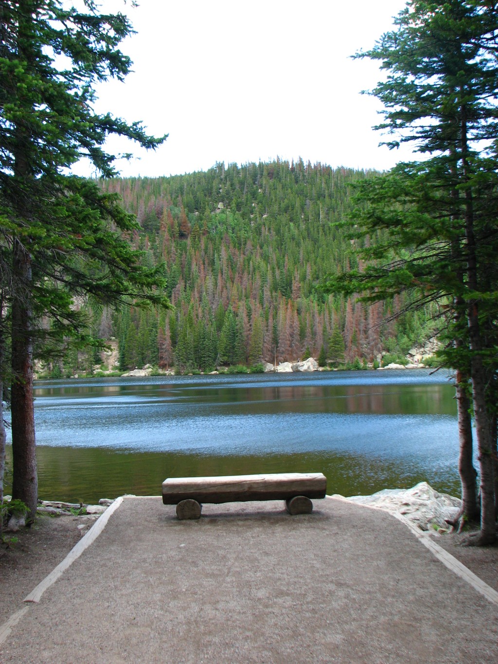 Tuesday’s Slice of Life Are Slices of&nbsp;Life