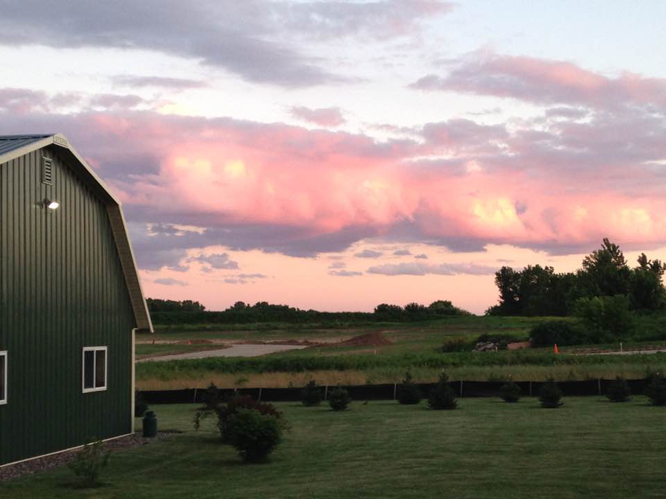 Time for Some Summer&nbsp;Fun!