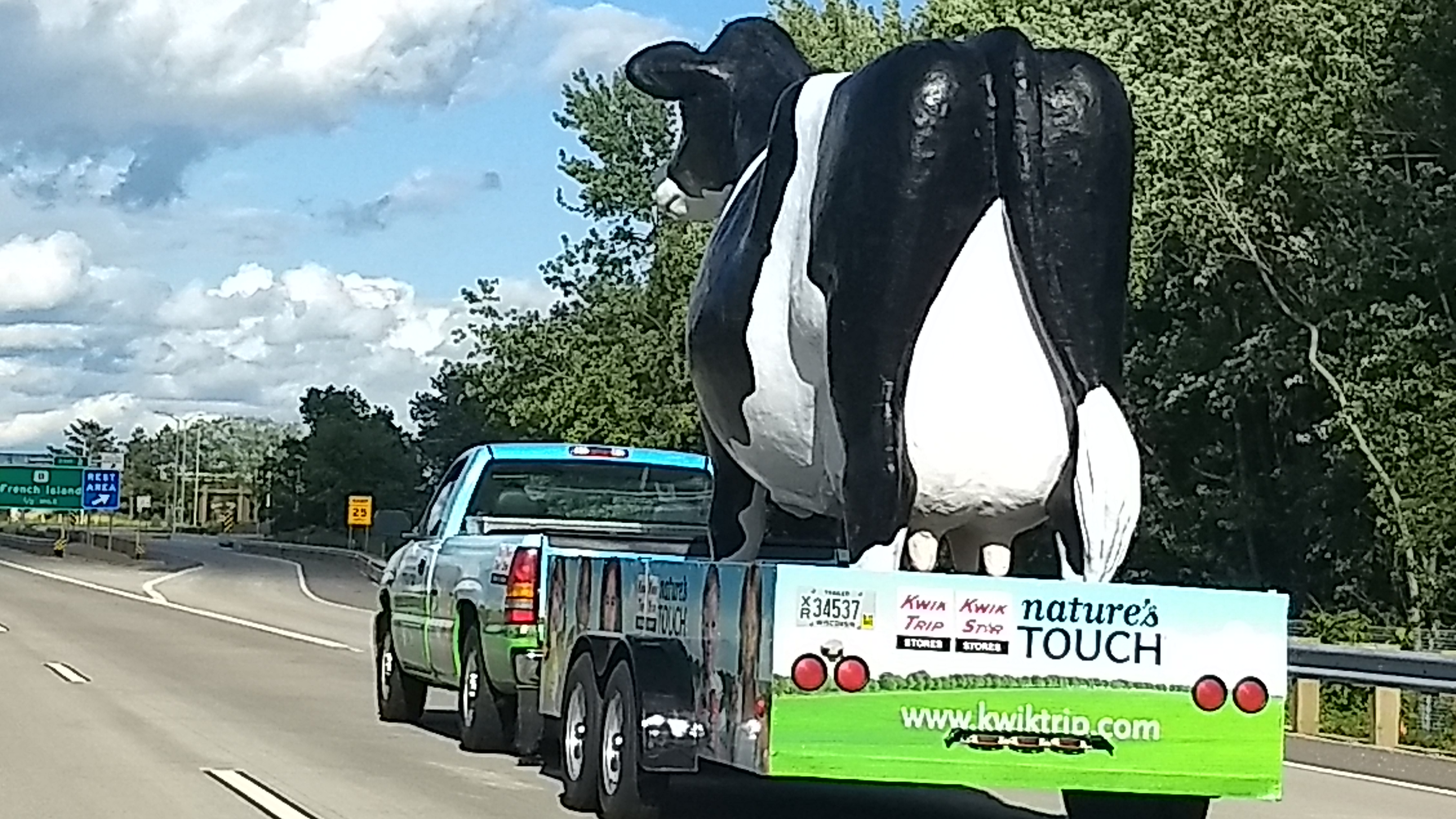 kwik trip cow