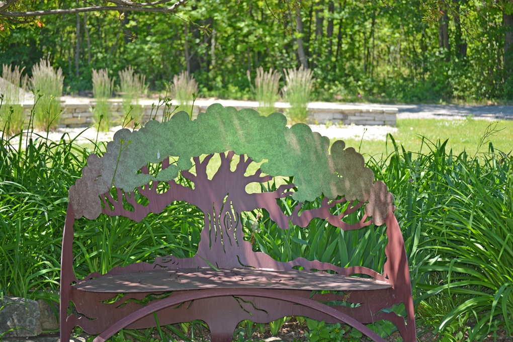 Back To School: Is PTO For You?