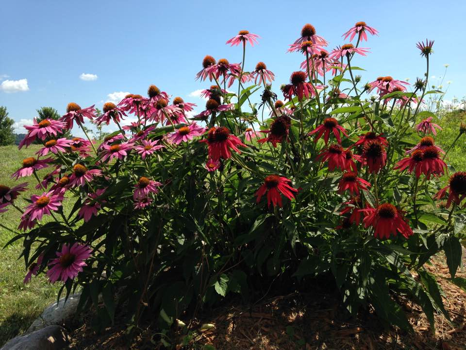 End of the Year&nbsp;Posts