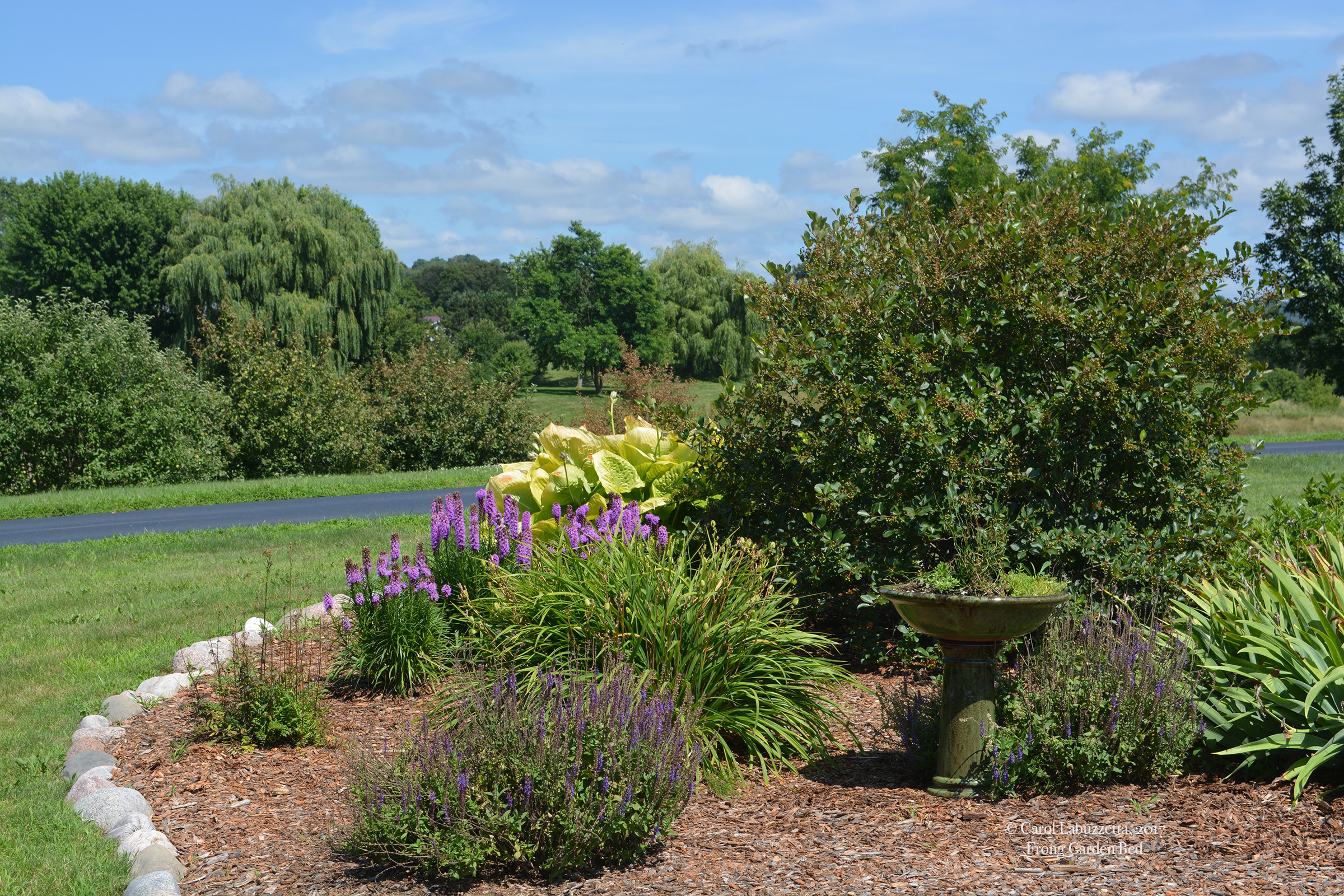 frontyardgarden copy