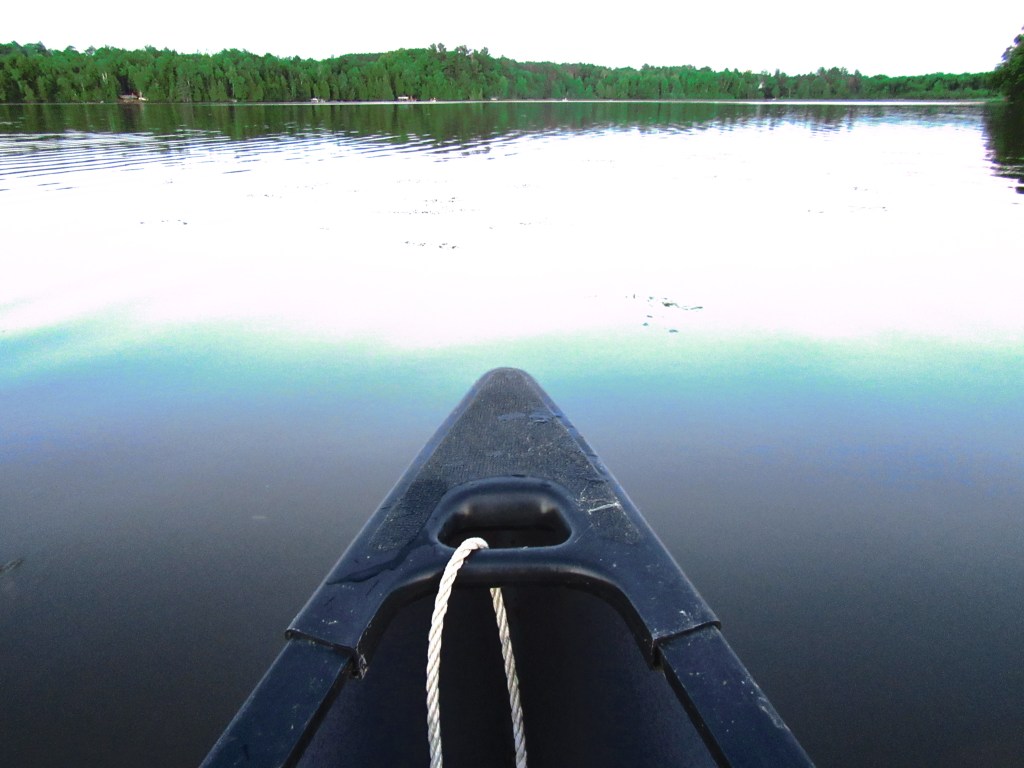 Twenty Years of Student Advocacy &        Ten Things I&nbsp;Learned