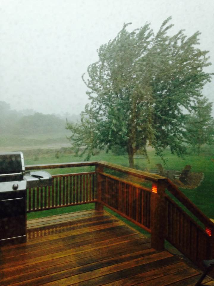 Musings on Mid-Summer