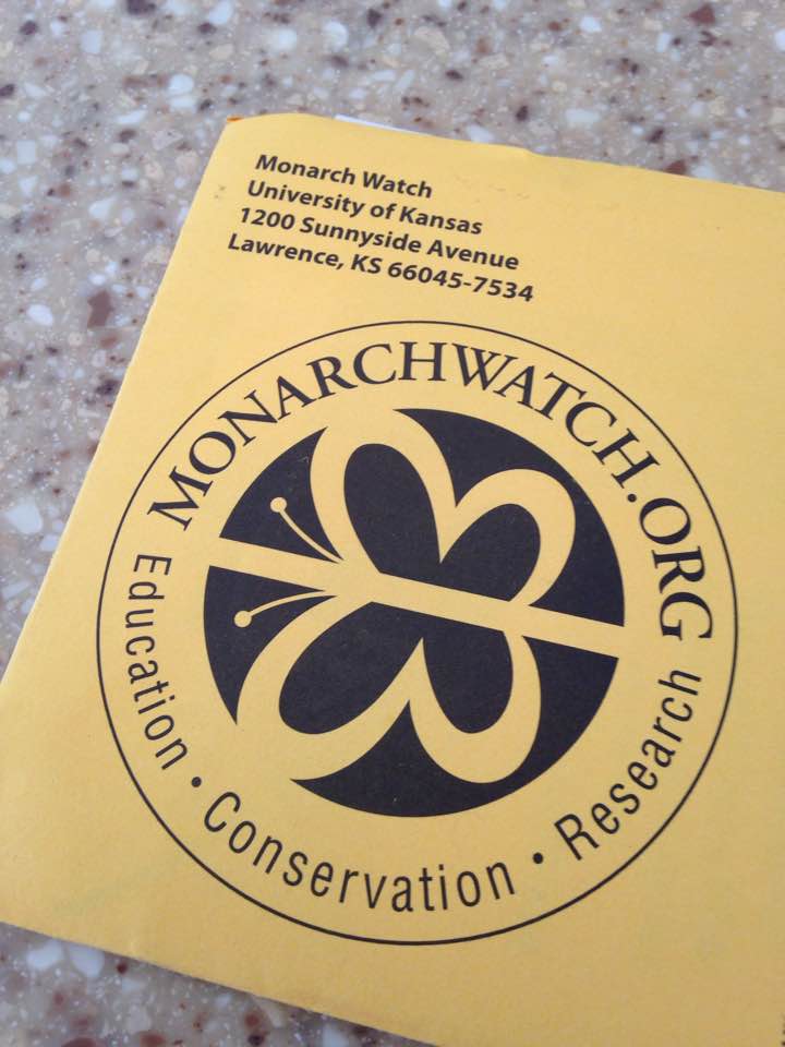 Monarch Watch Envelope