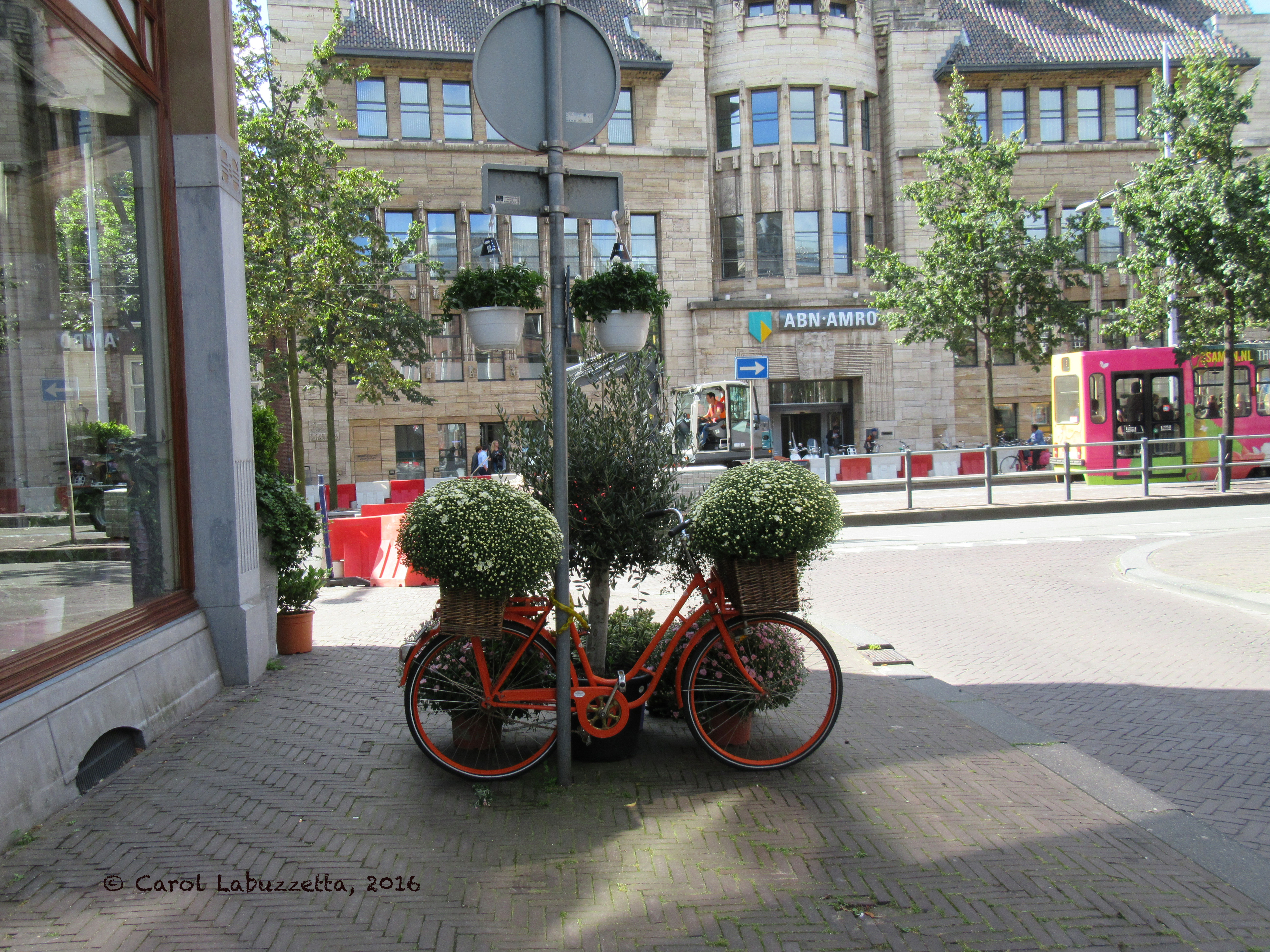bikeplanterinholland