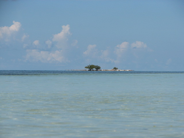 florida keys.© Carol Labuzzetta, 2010