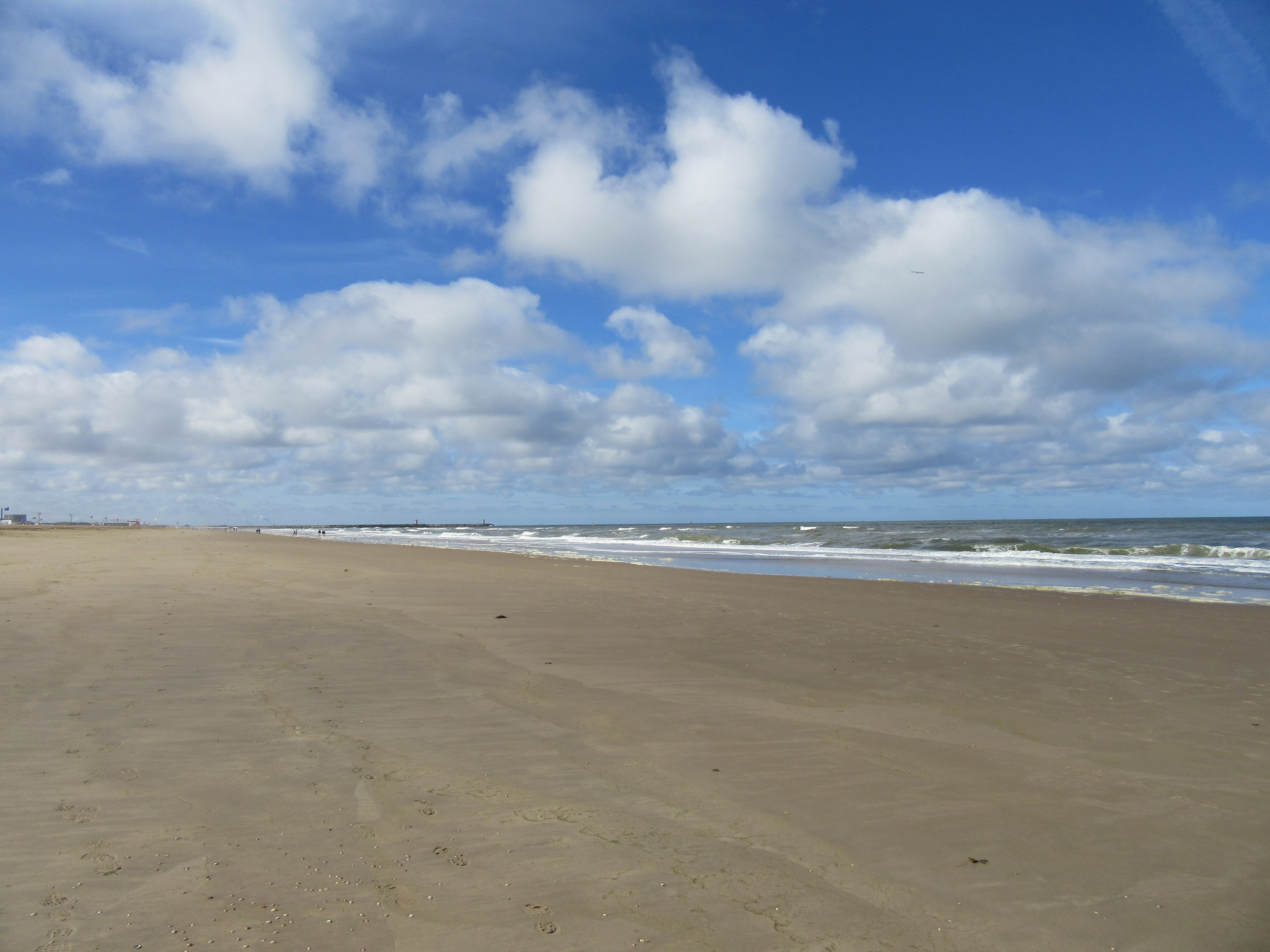 schevenhagendenhague2016