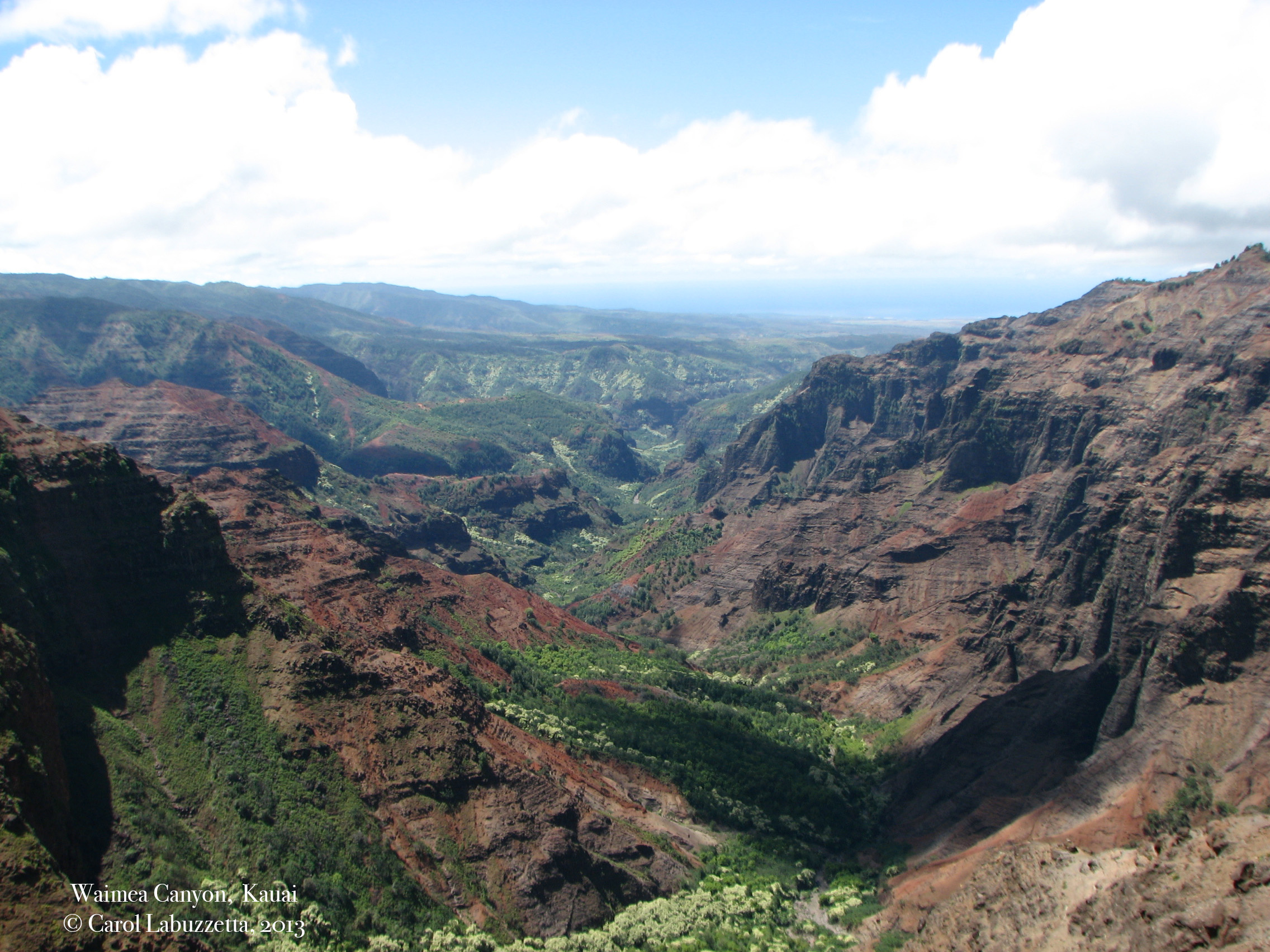 watermarkedwaimeaMG_4313 copy