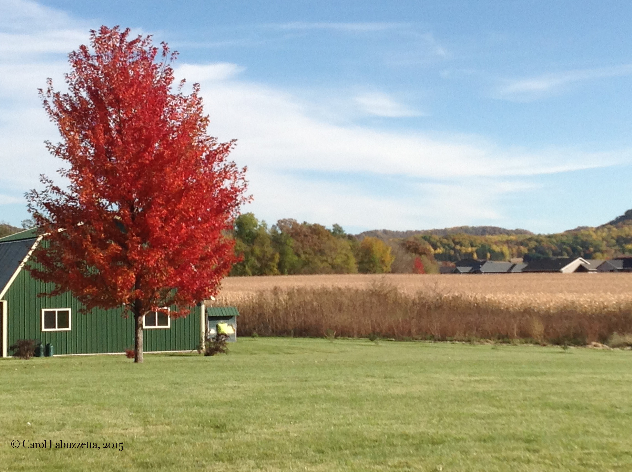 BarnMapleFall2015