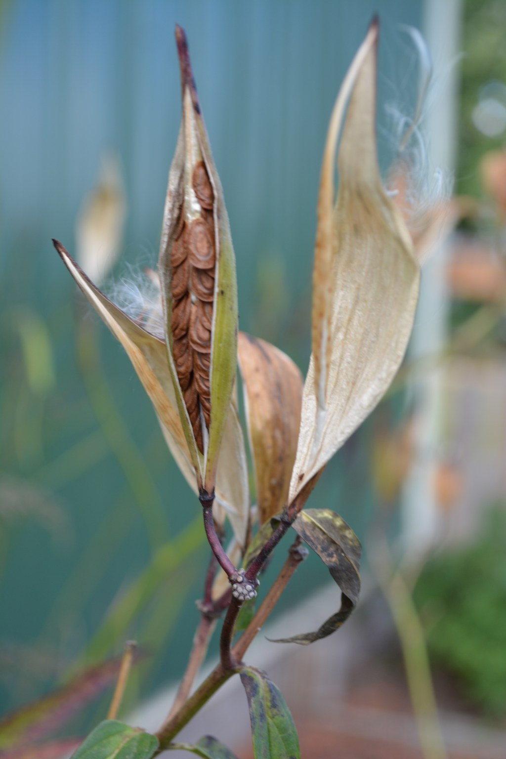 Professional Development & Environmental&nbsp;Education