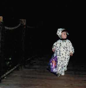 lonedalmationorlando