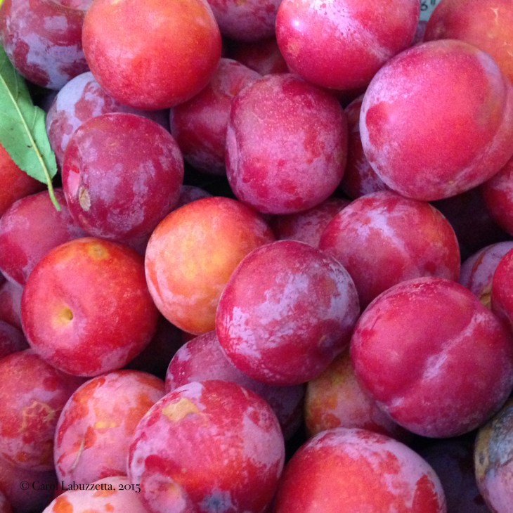 Plums15wm0831