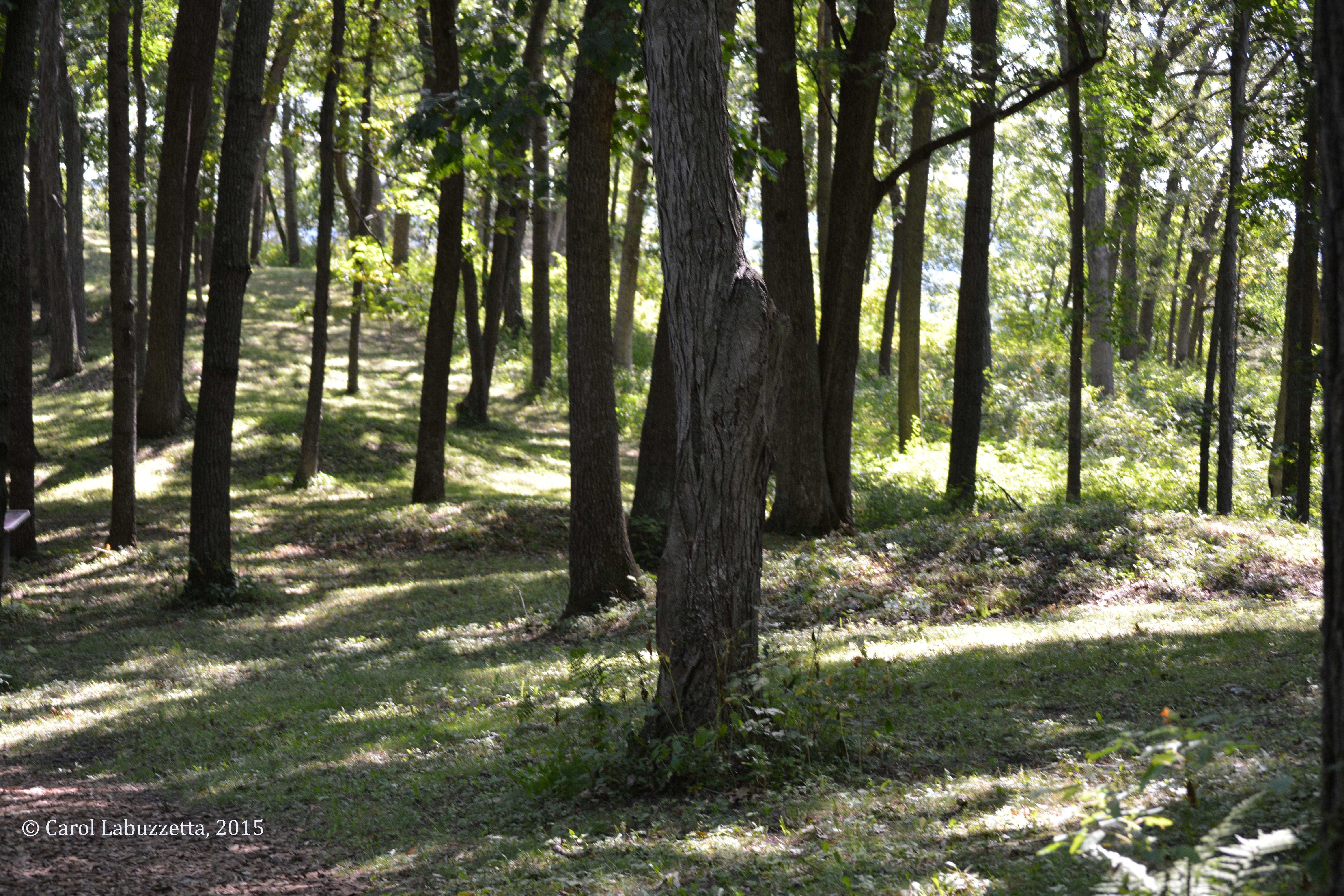 2015effigymoundsNMviewofmound