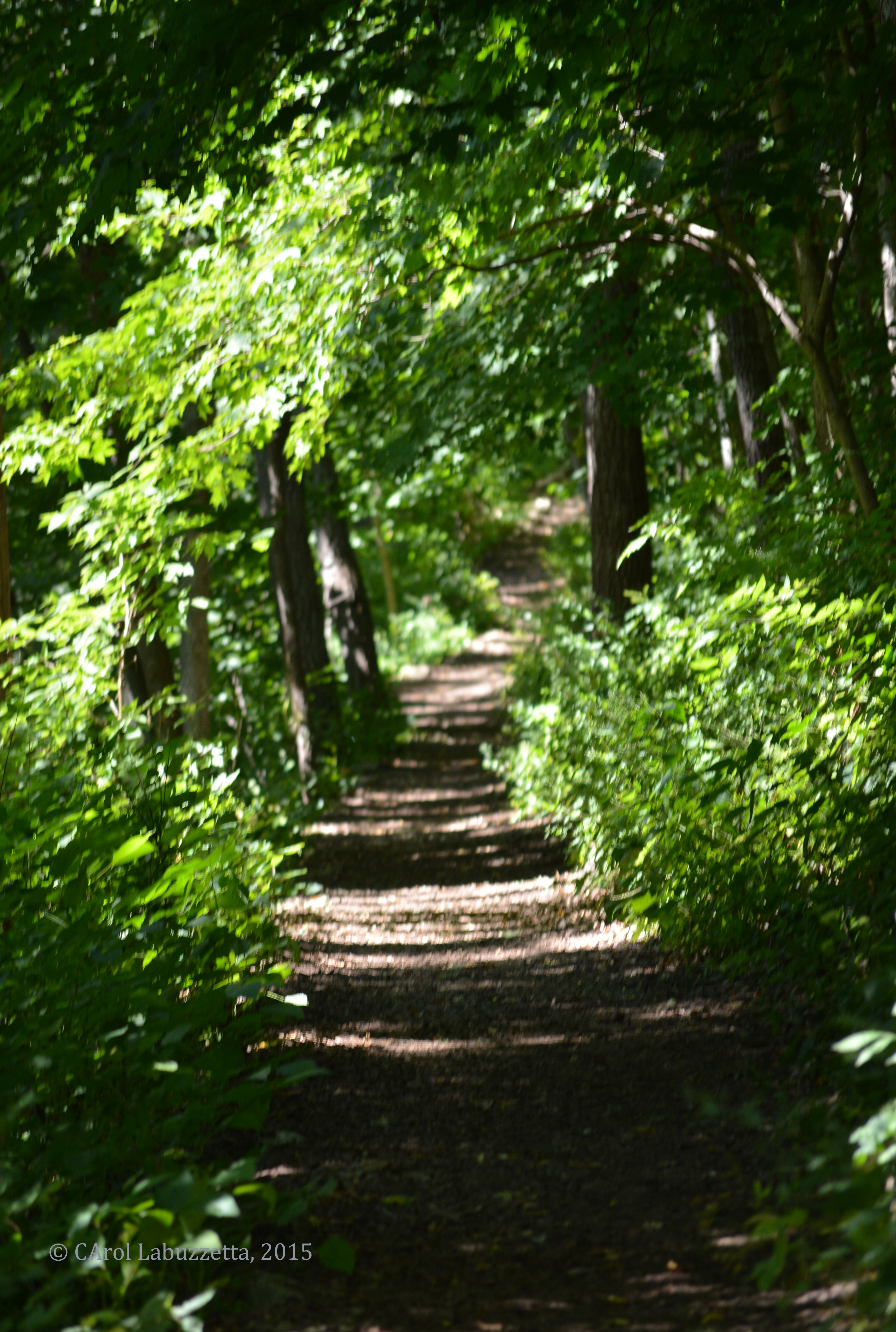 2015trailateffigymoundsMN1696