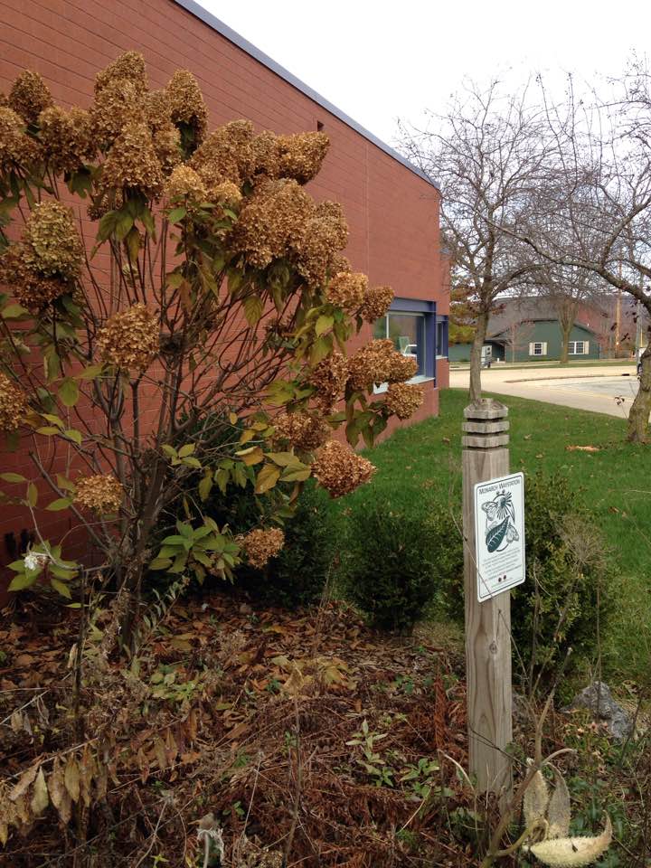 Slice of Life: Tuesday Post. A New School Garden & AP Classes – What do you think?