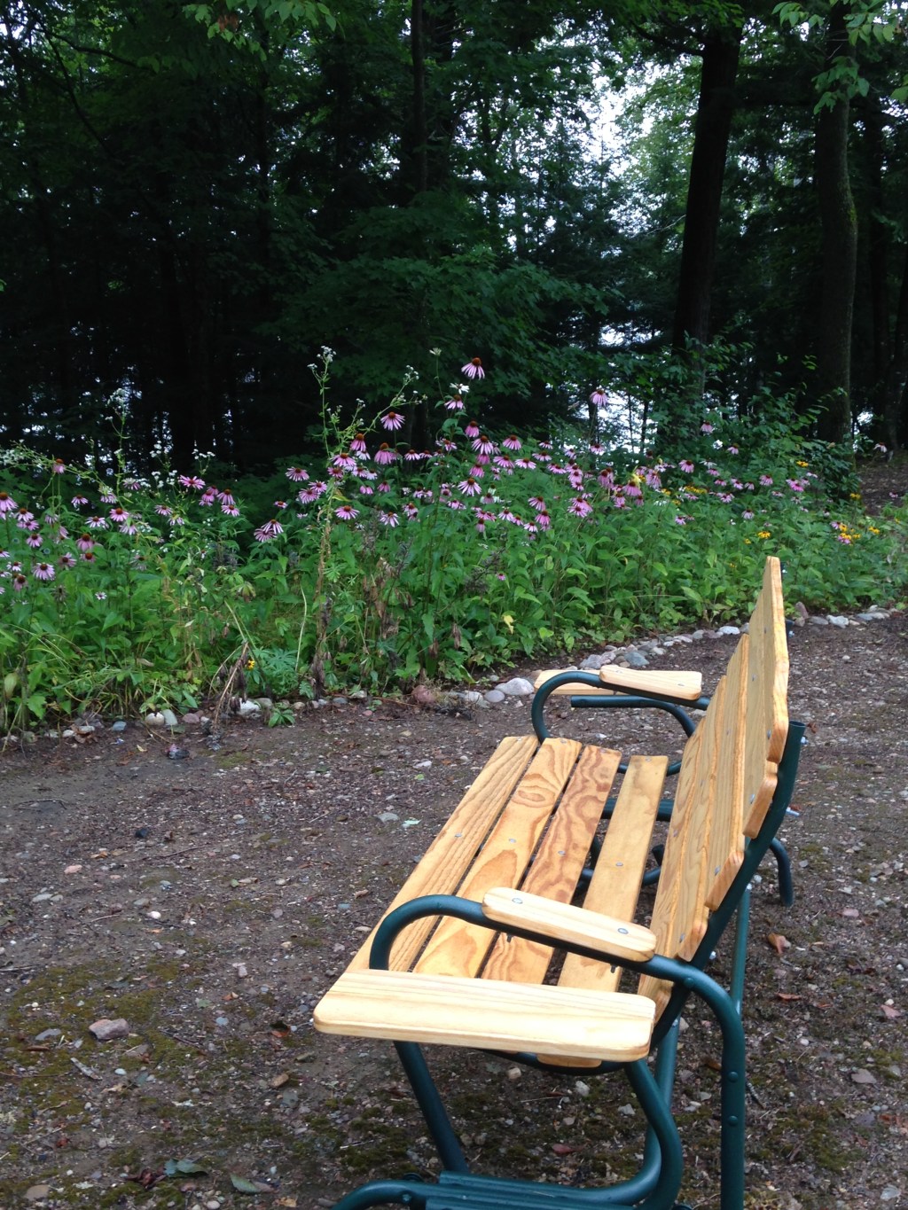 Poetry Friday: Connecting