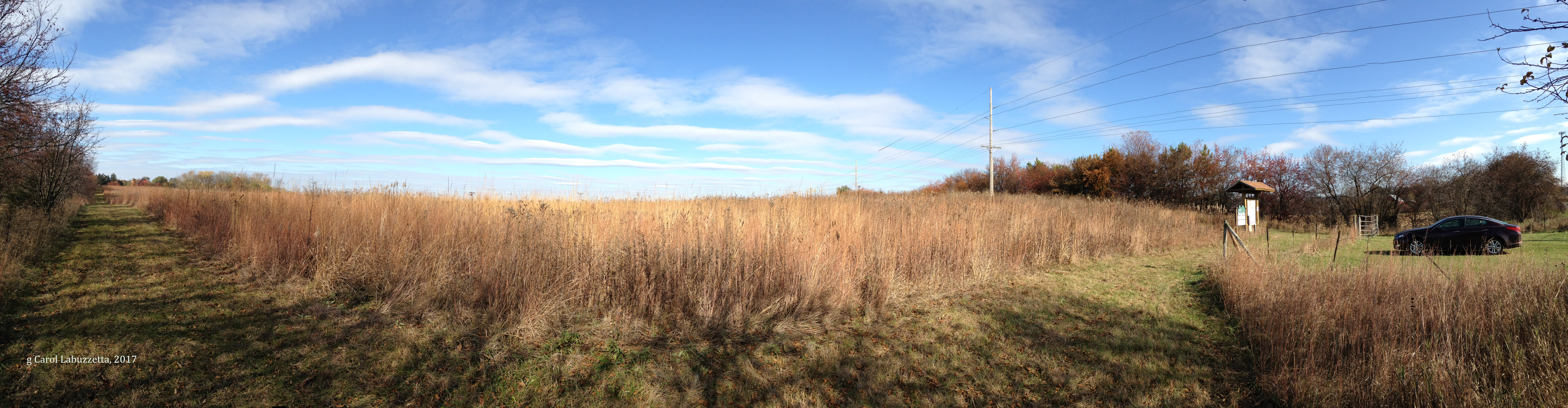 panoramaNewAmersterdamGrassLands2017