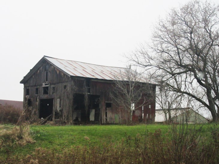 ramshacklebarnbrockport