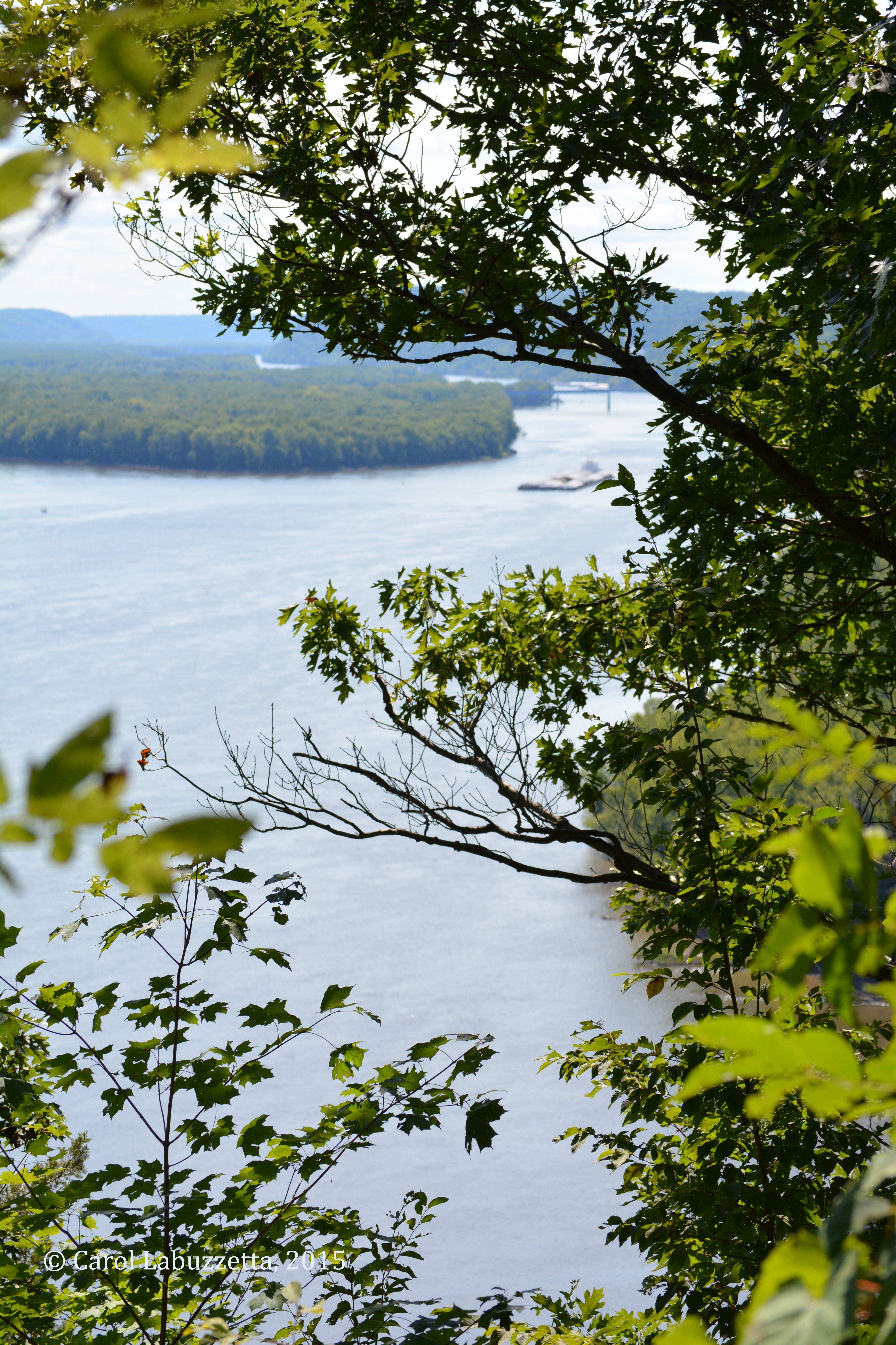 rivervieweffigymoundsNM