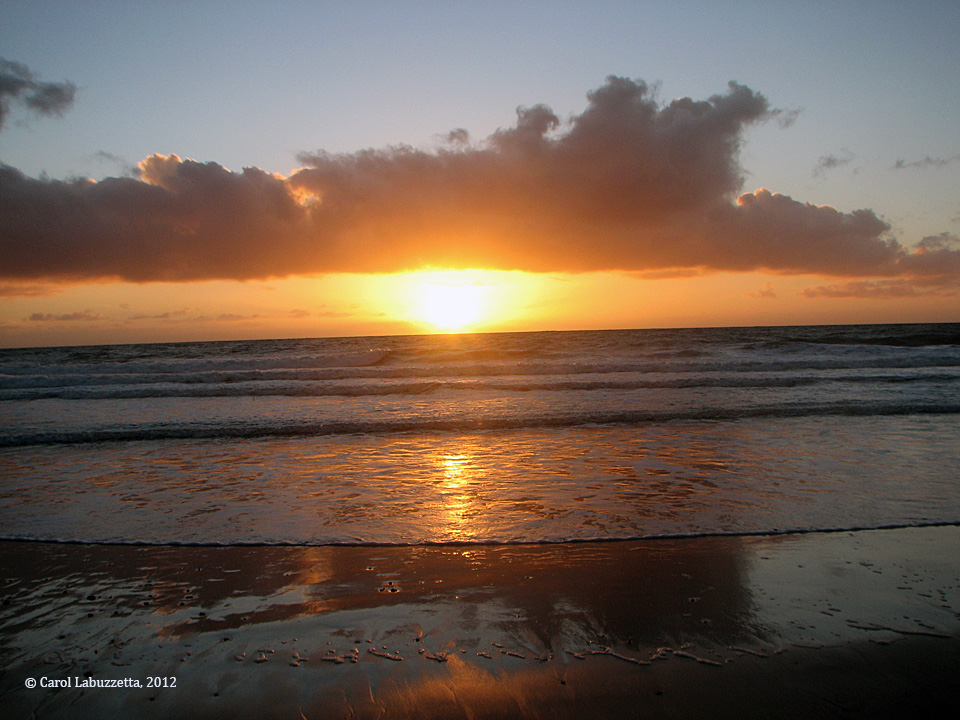 wmincomingsunsetcarlsbadca