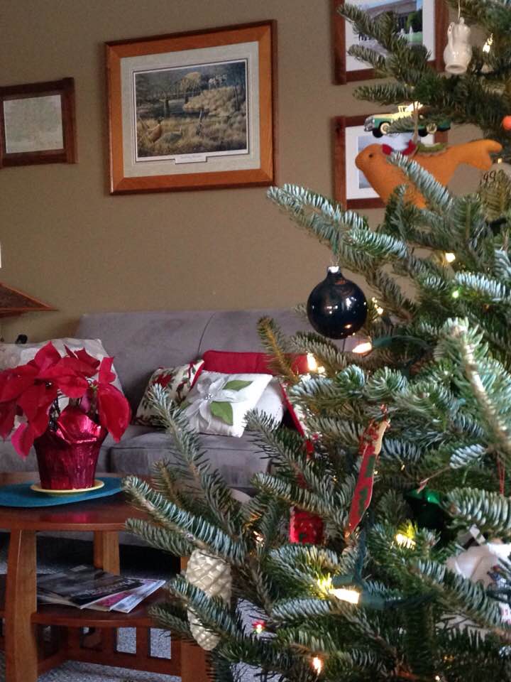 25348758_1518036271567668_1357716309051508109_n