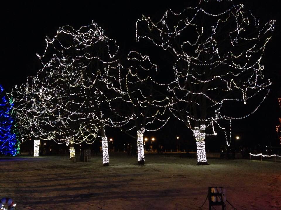 25398641_1518036264901002_5359087267730547680_n