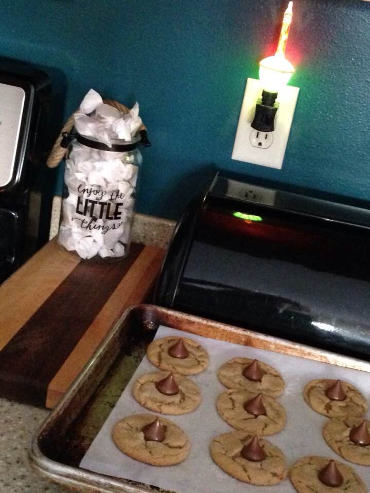 25442870_1518036191567676_6171947052981508084_n