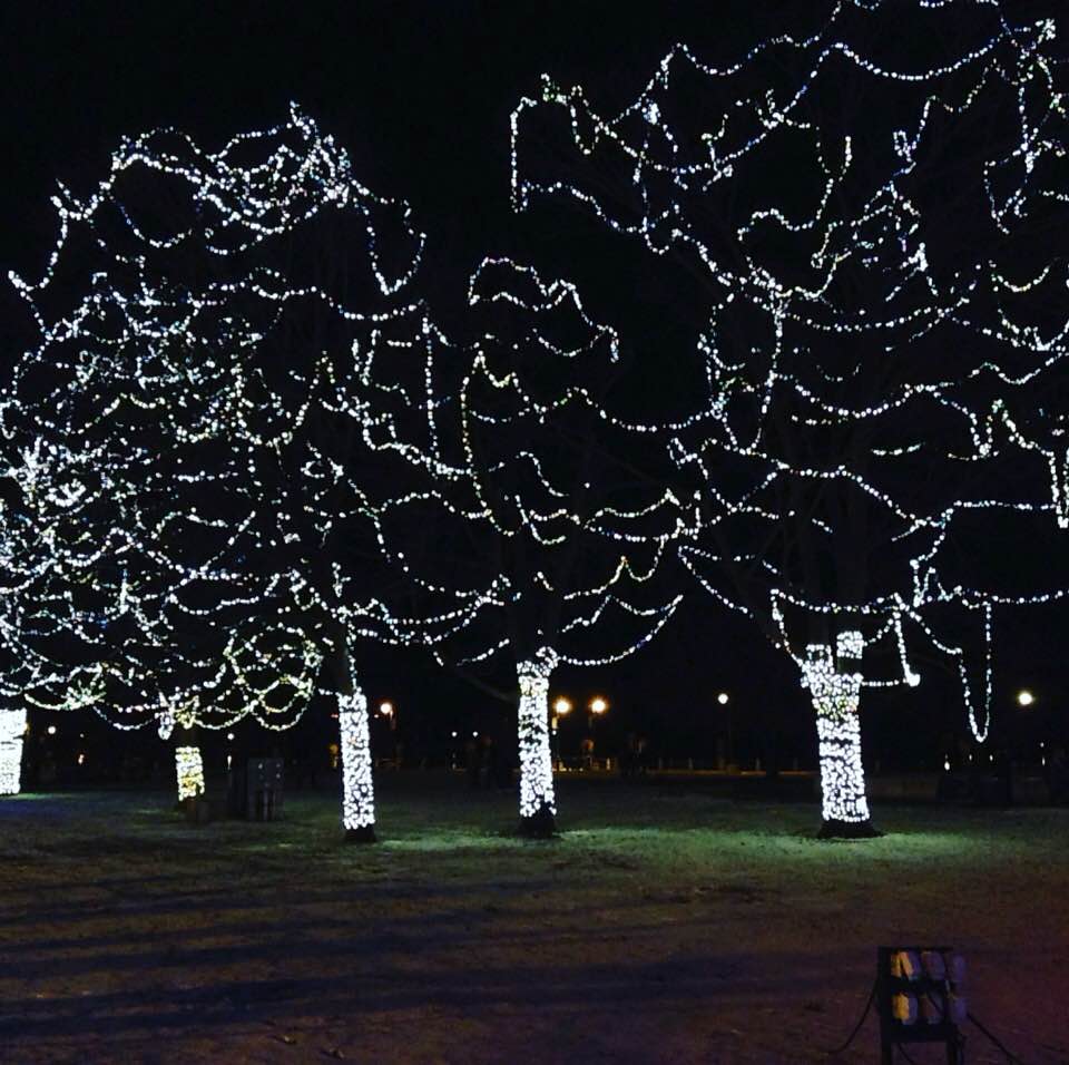 Silent Sunday: Signs of the&nbsp;Season