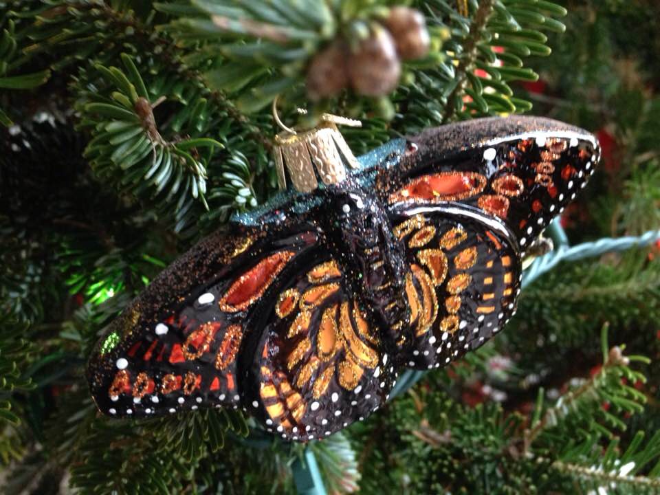 25498507_1518053478232614_1064544200528333192_n