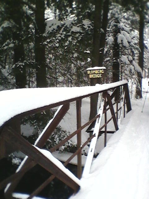 Silent Sunday: Winter Is Coming!&nbsp;Right?