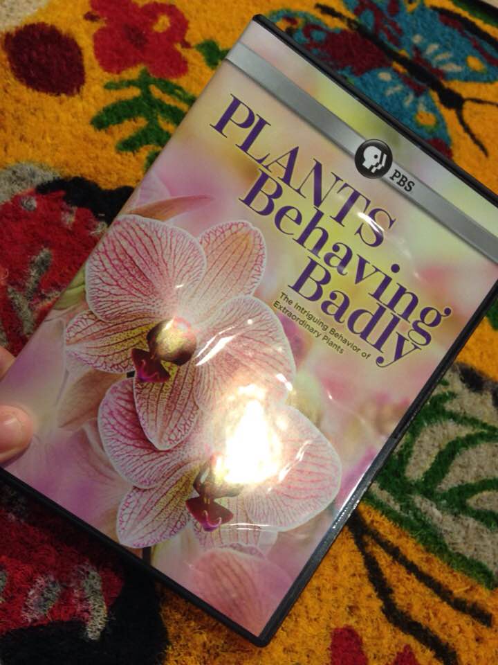 Plants Behaving Badly