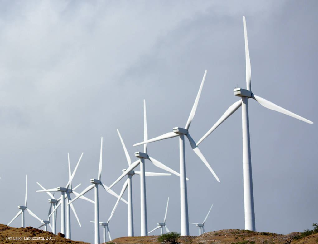 wm198westmauimtnwindmills