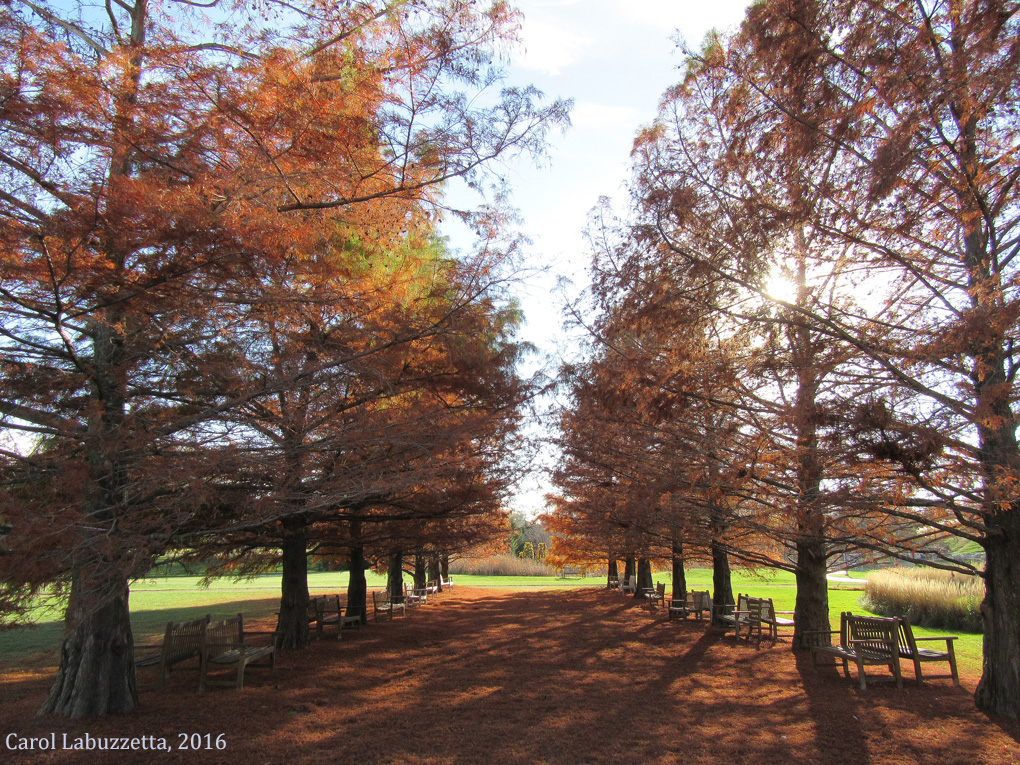 A Timely Visit with&nbsp;Winnie-the-Pooh