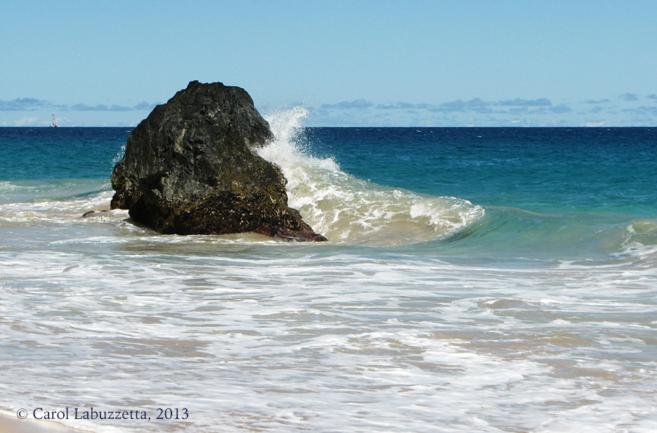 My Journey to Joyfulness: July Update