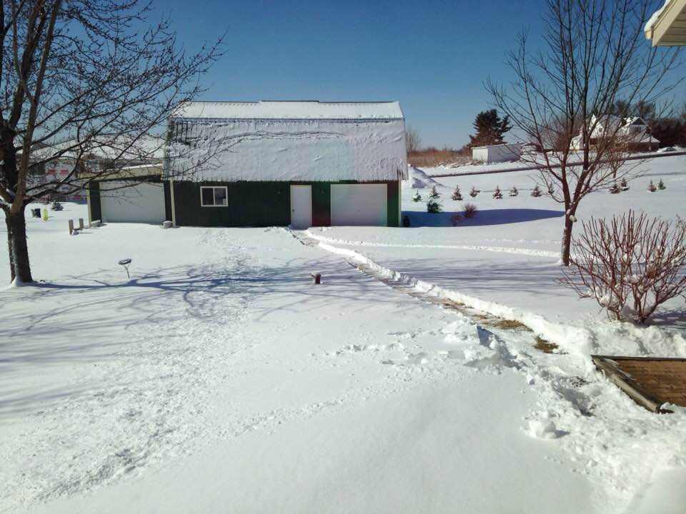 Snow, Monarchs, and Fruit Trees: Haphazard&nbsp;Ramblings