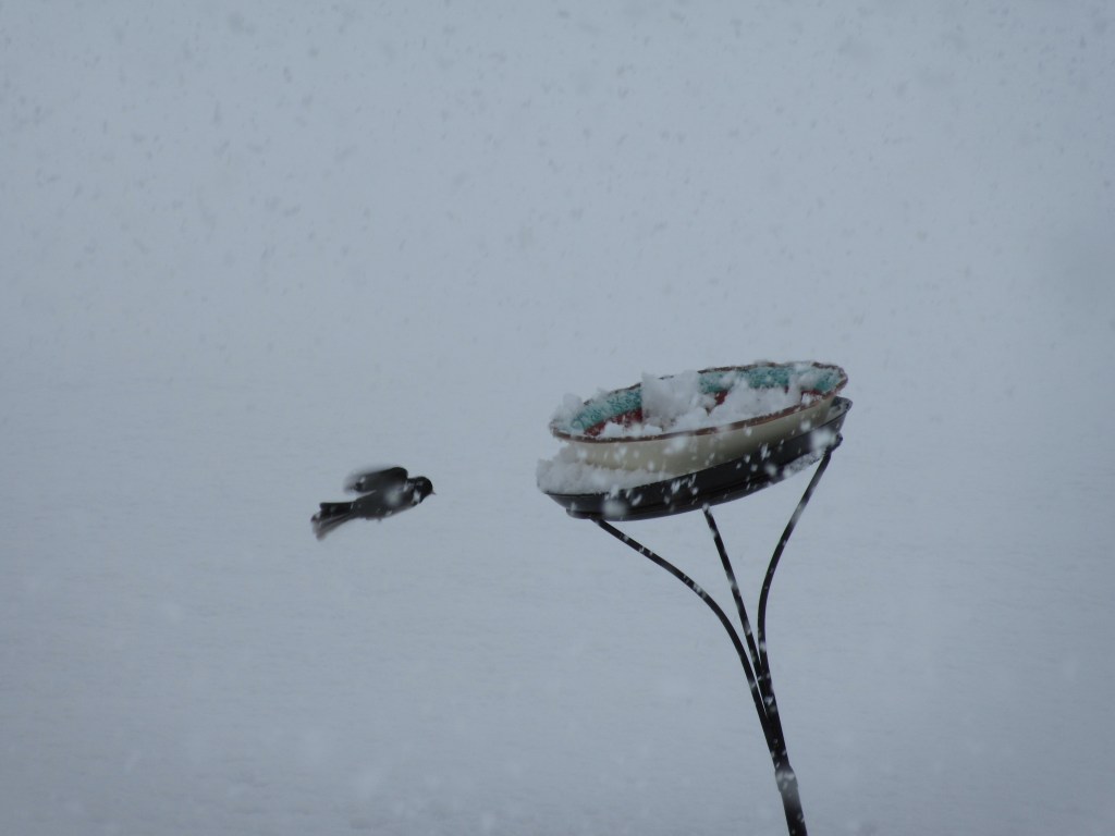 Today: Snow Storm on The Great River&nbsp;Road