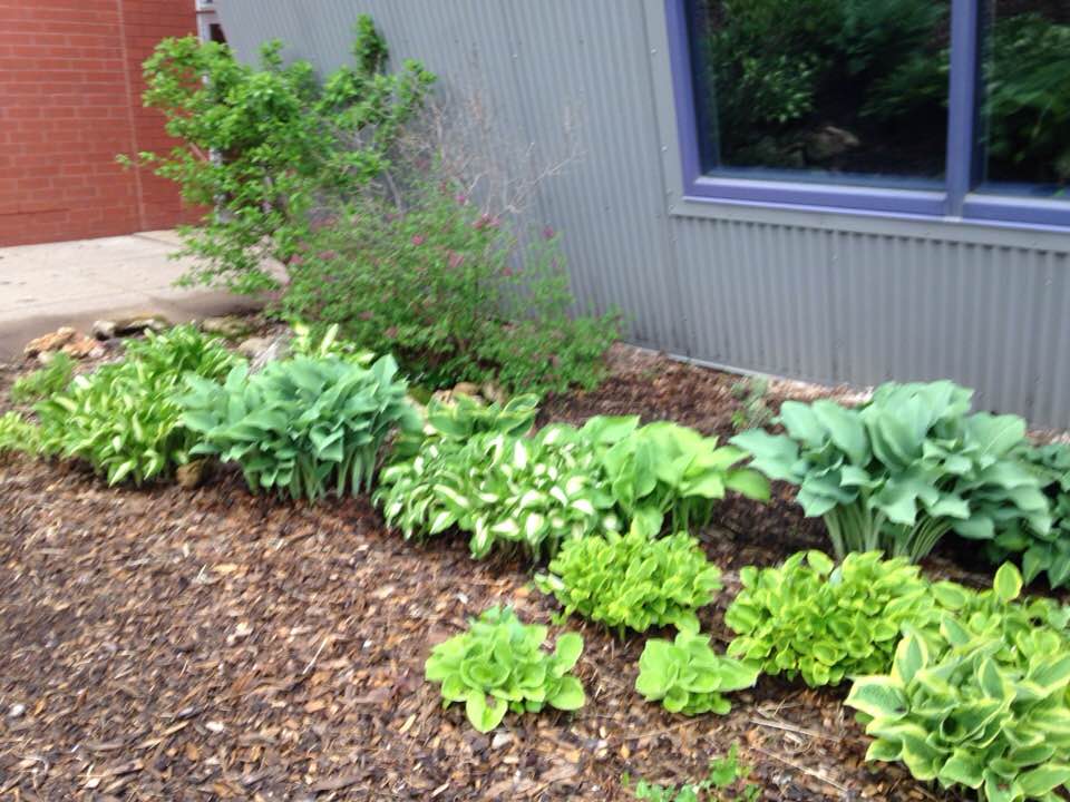 32966755_1668407966530497_5794942026642358272_n