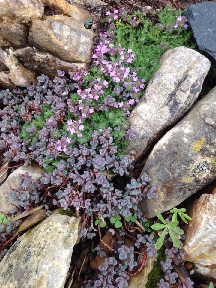 33112940_1668407973197163_4476640147718275072_n