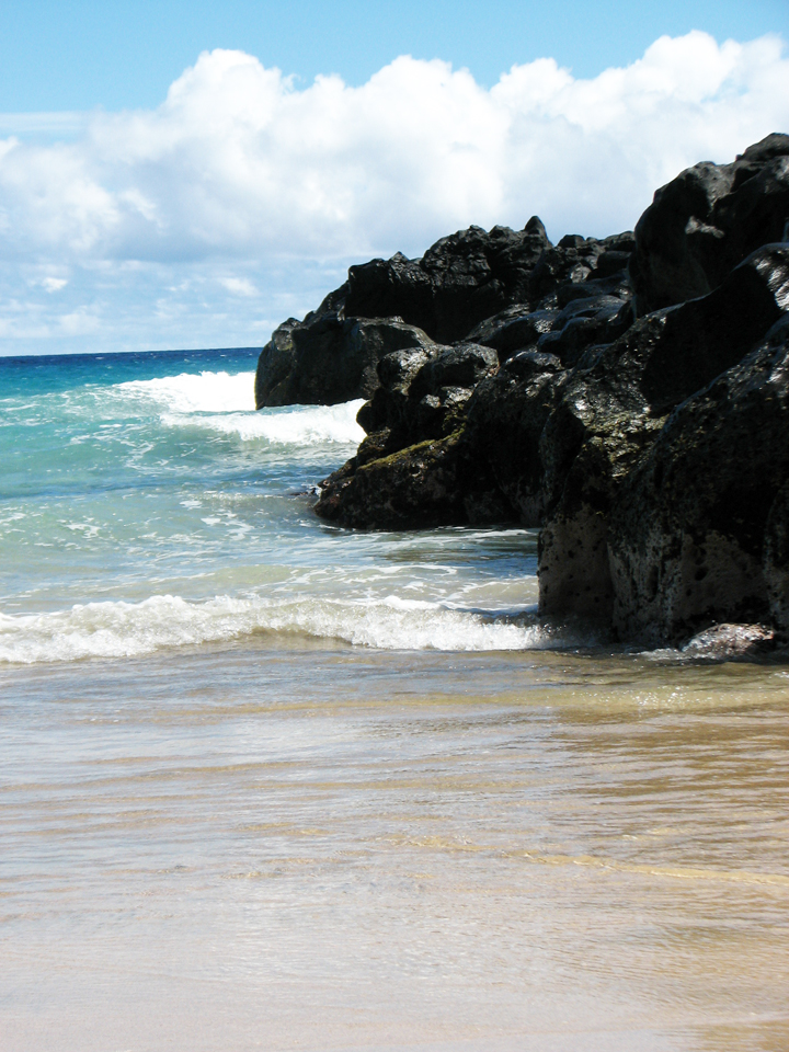 WordPress Weekly Photo Challenge:&nbsp;Unlikely