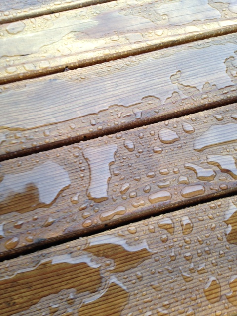 As May Leafs Out and&nbsp;Rains