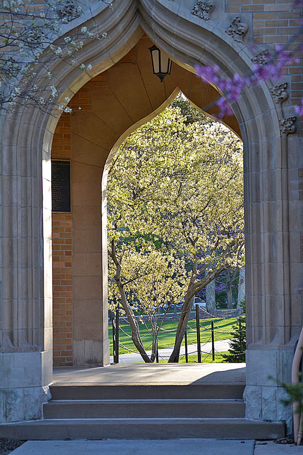 Silent Sunday: College Campus&nbsp;Views