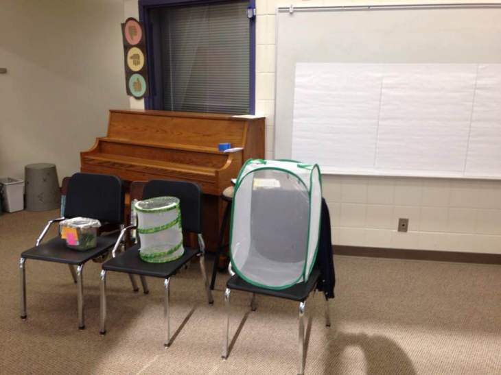 36943084_1734452369926056_6942753293261078528_n